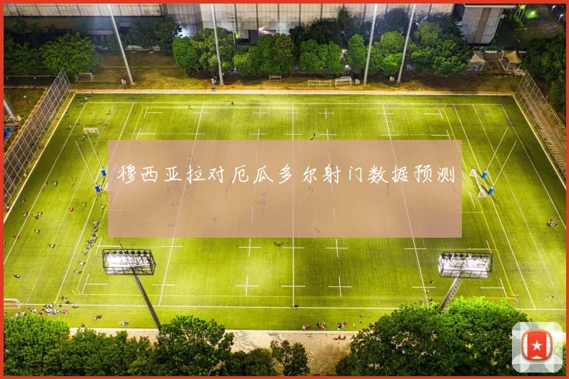 穆西亚拉对厄瓜多尔射门数据预测