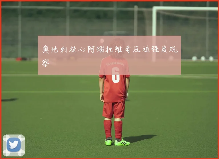 奥地利核心阿瑙托维奇压迫强度观察