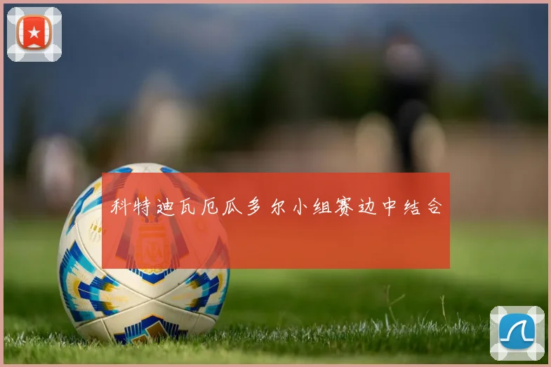 科特迪瓦厄瓜多尔小组赛边中结合