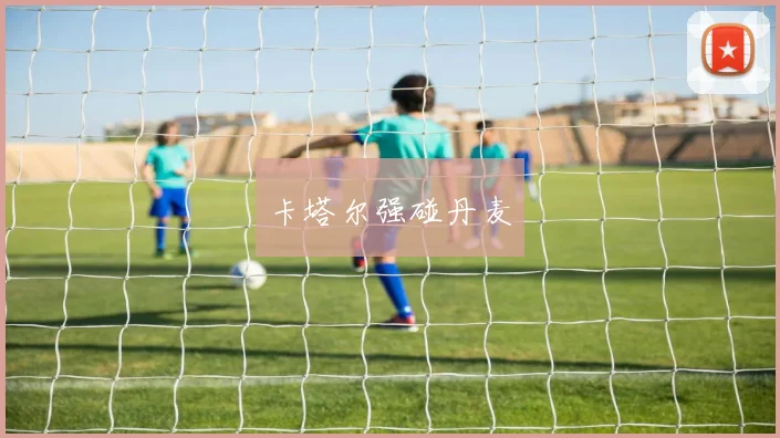 卡塔尔强碰丹麦