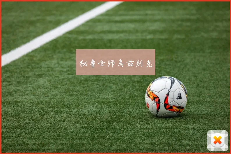 秘鲁会师乌兹别克