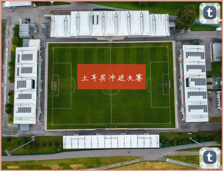 土耳其冲进决赛