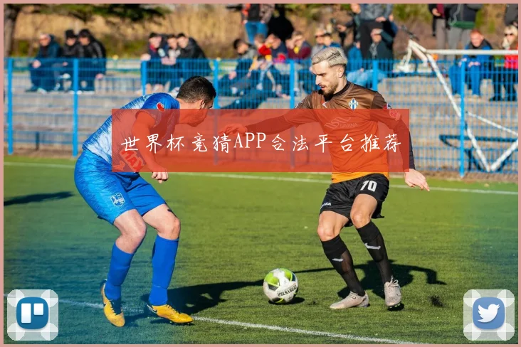 世界杯竞猜APP合法平台推荐