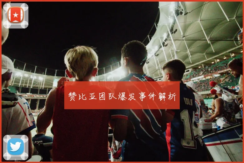 赞比亚团队爆发事件解析
