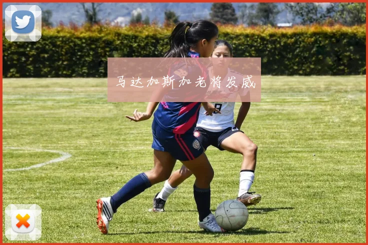 马达加斯加老将发威