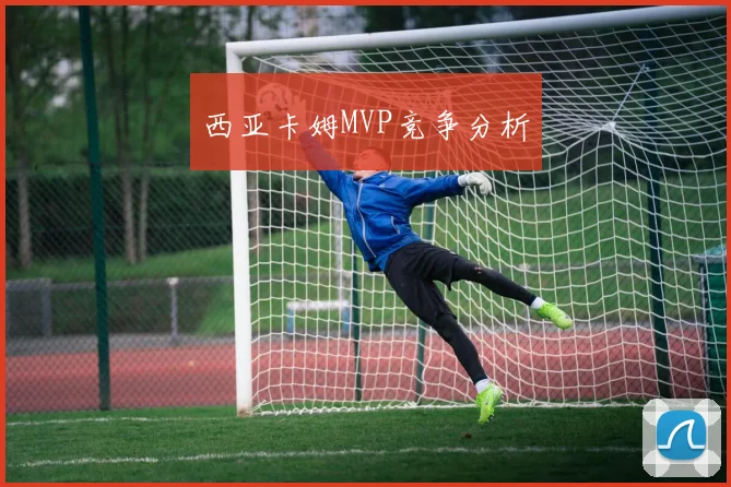 西亚卡姆MVP竞争分析