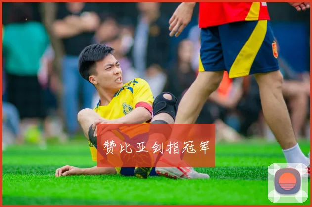 赞比亚剑指冠军