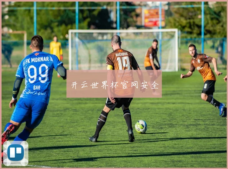 开云世界杯官网安全