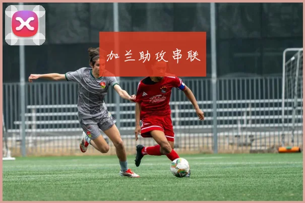 加兰助攻串联