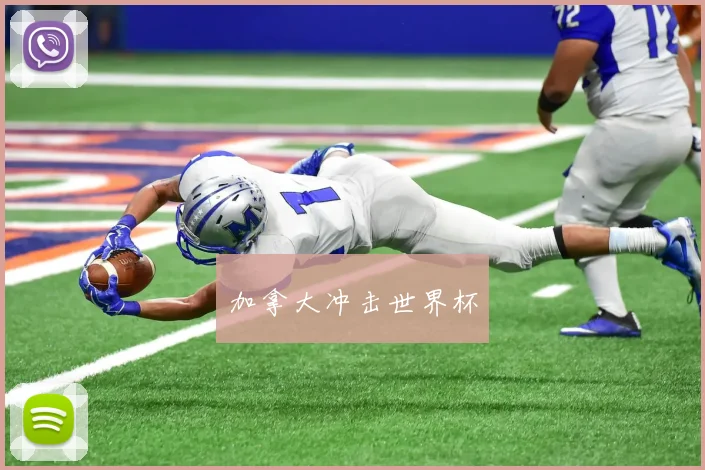 加拿大冲击世界杯