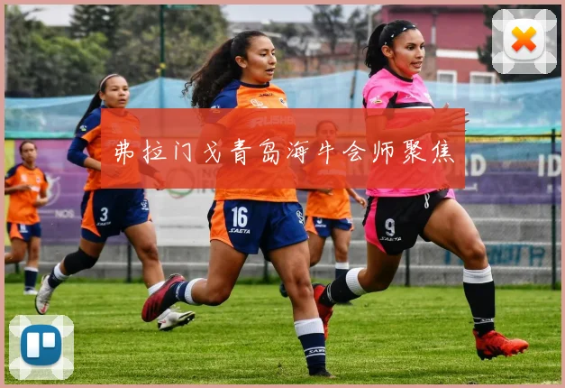 弗拉门戈青岛海牛会师聚焦
