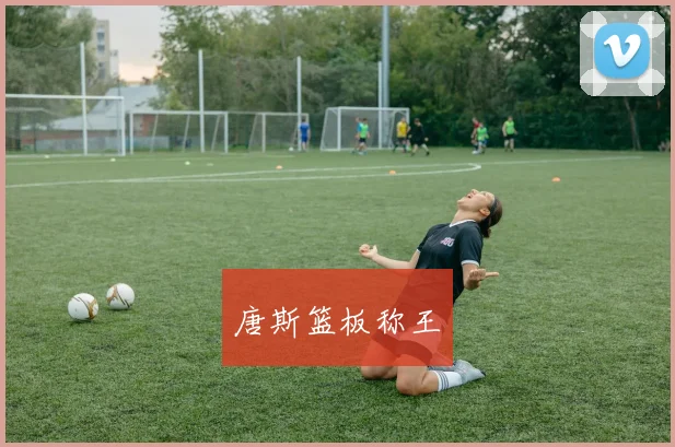 唐斯篮板称王
