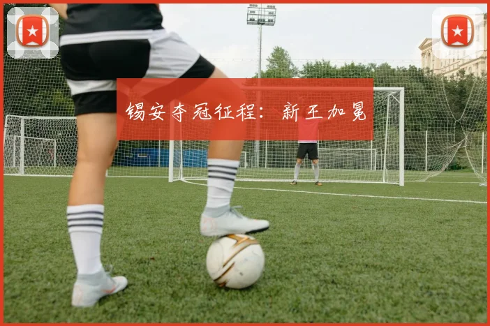锡安夺冠征程：新王加冕