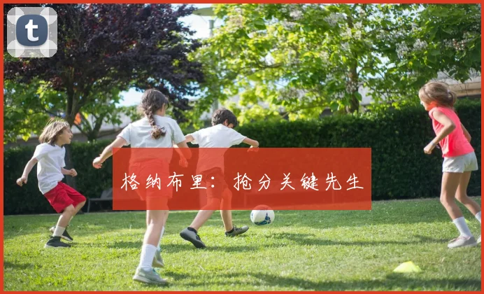 格纳布里：抢分关键先生