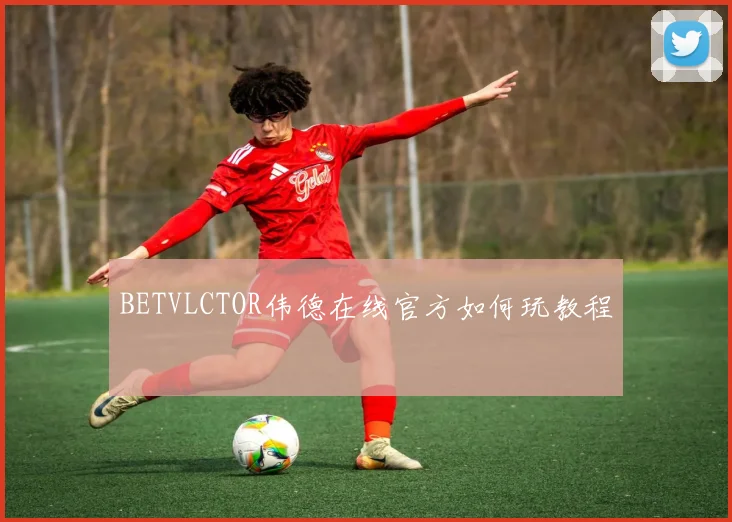 BETVLCTOR伟德在线官方如何玩教程