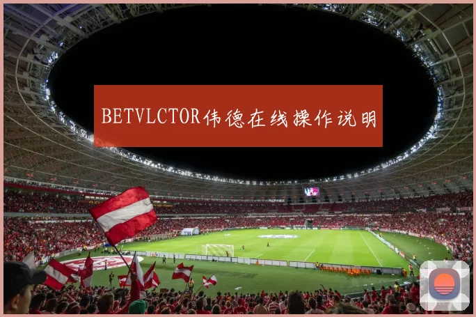 BETVLCTOR伟德在线操作说明
